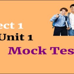 Project 1 Unit 1 mock test
