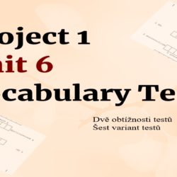 Project 1 Unit 6 vocabulary