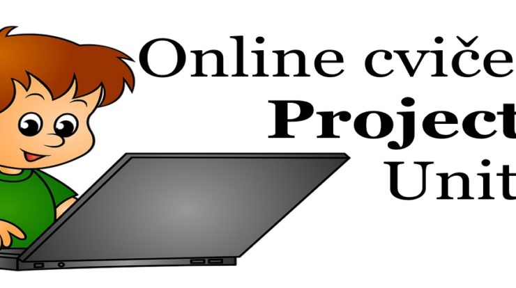 Project 1 unit 6 online